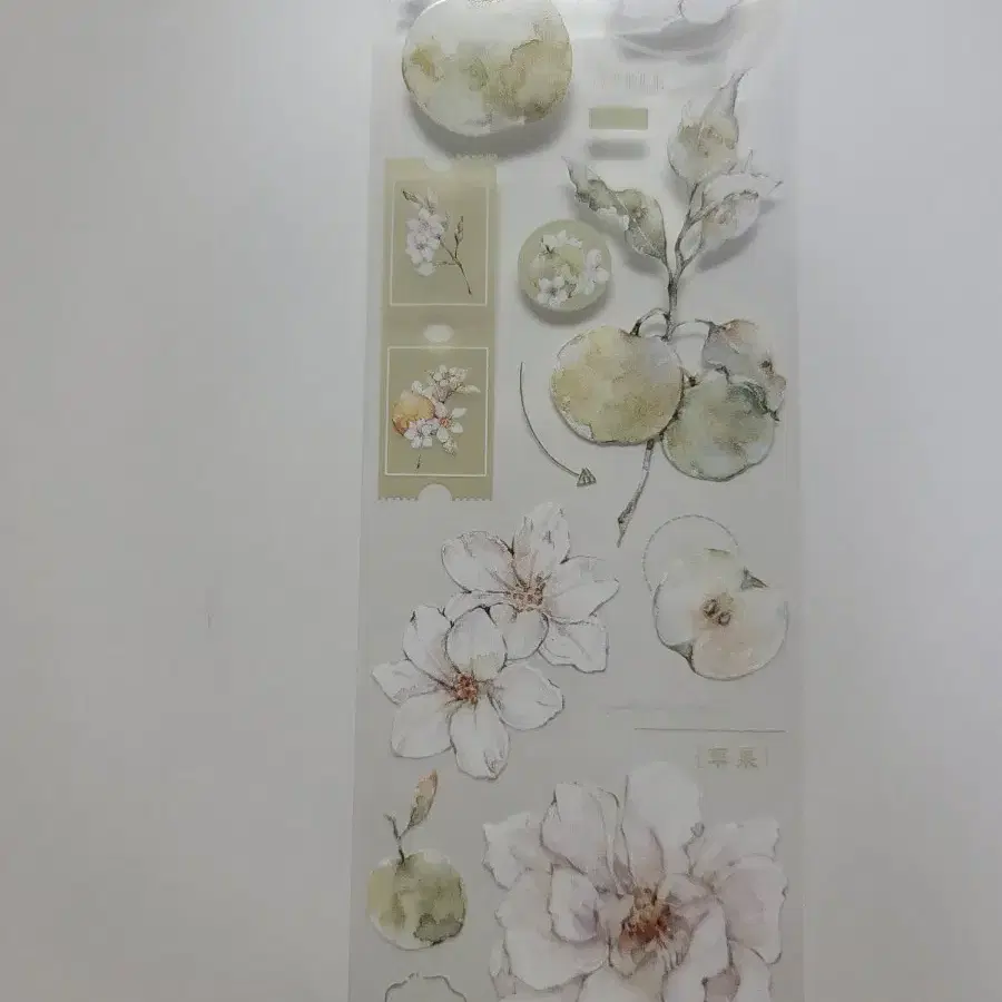 96-3 연두좋앙 유광 pet마테 120cm