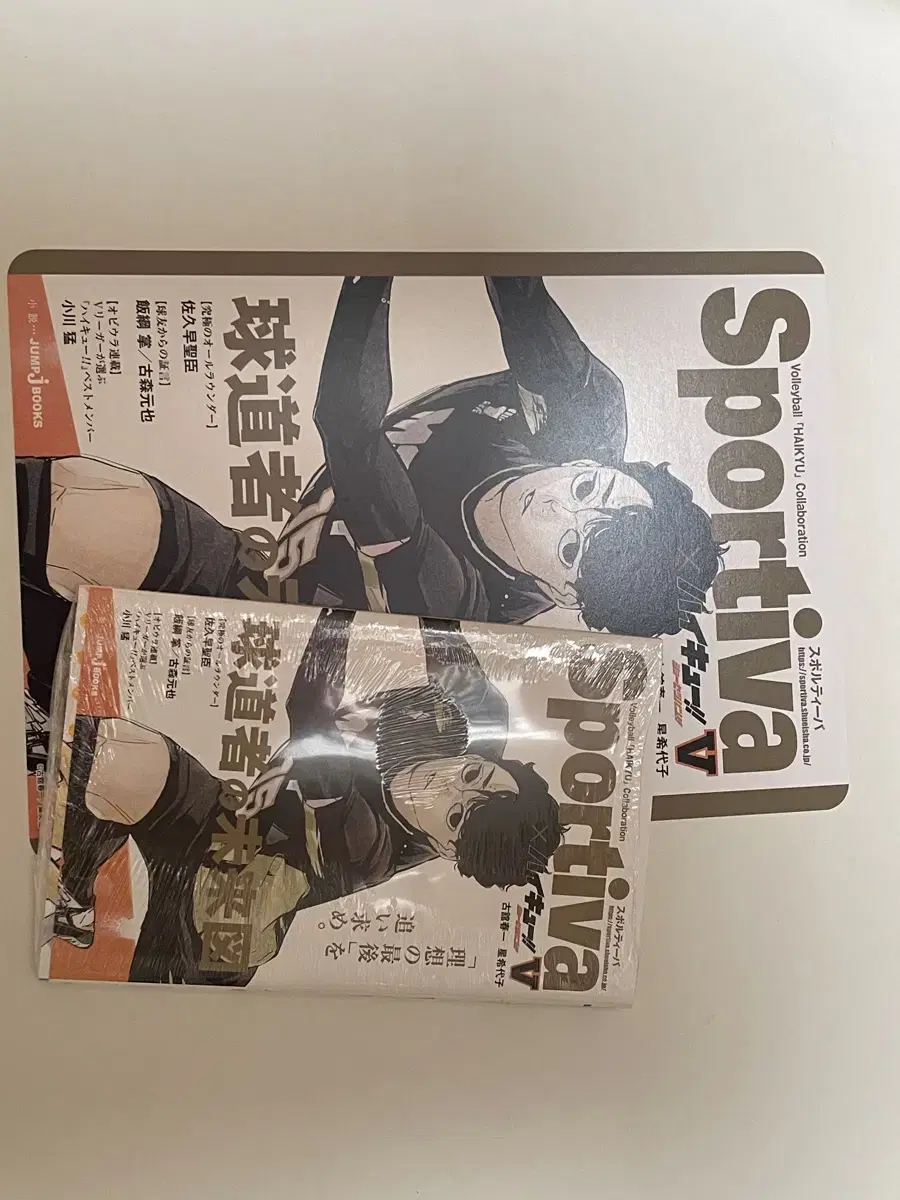 Haikyuu Sportiva Sakusa Visual Board Unsealed