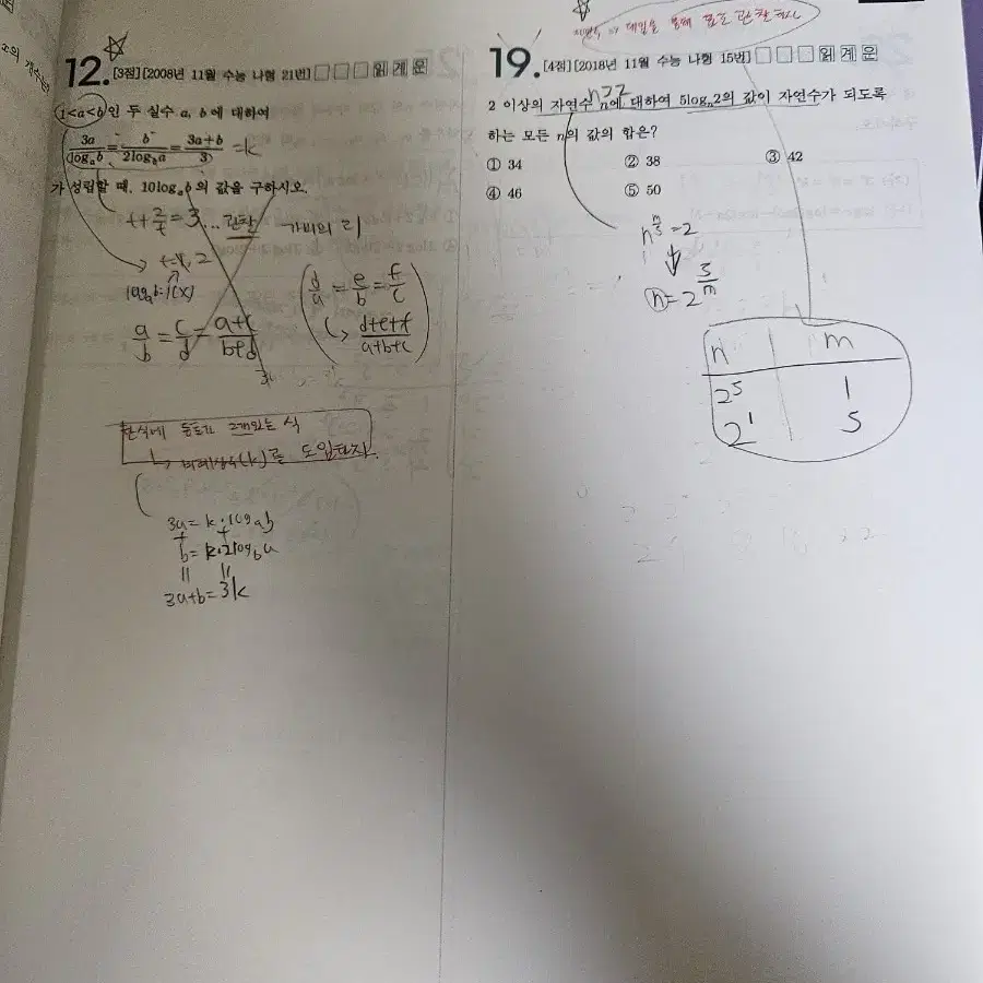 2025양승진 진또베기코