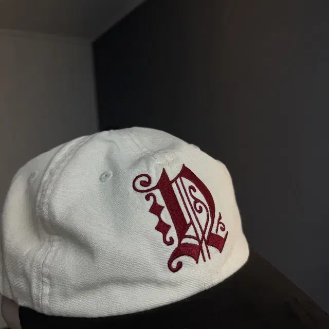 디스이즈네버댓 Fortuna N-Logo Cap 희귀색상