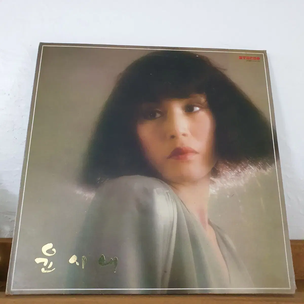 윤시내 LP  1980  고목   목련