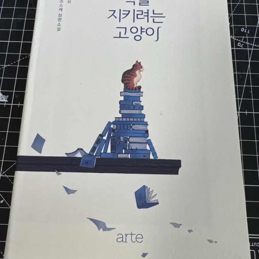 청소년 도서 묶음, 개별 판매