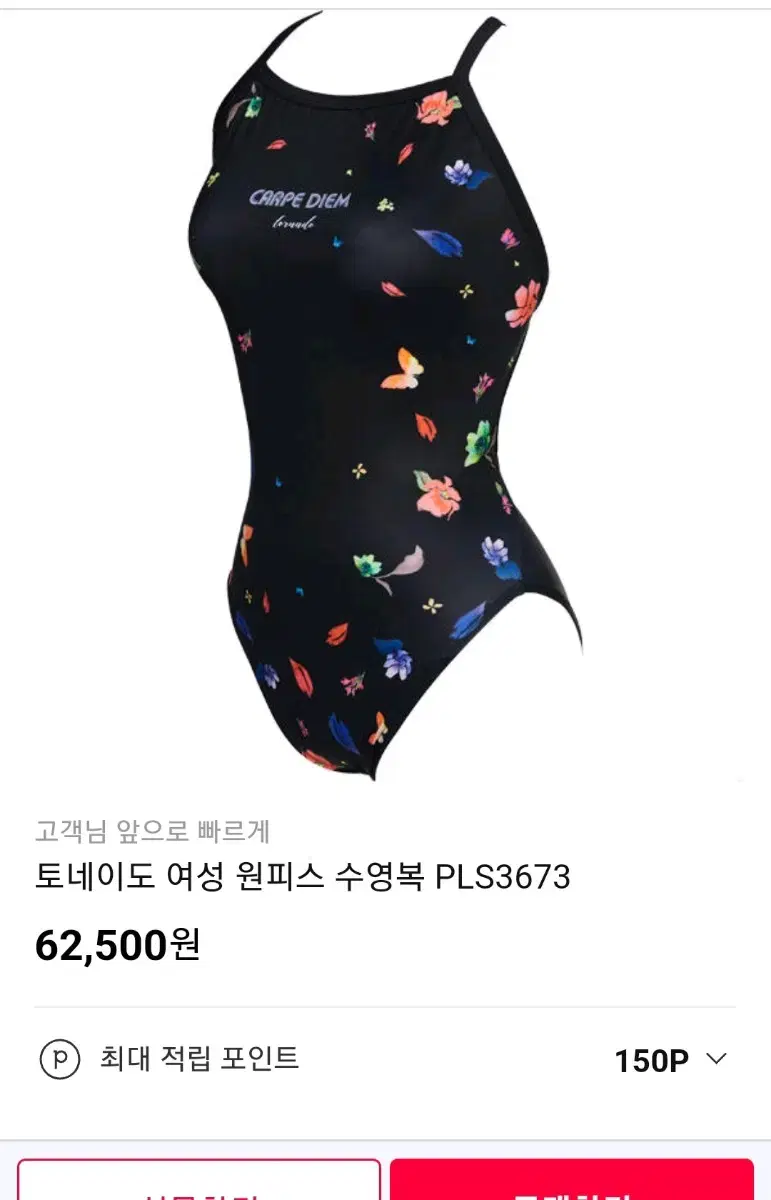 토네이도수영복 77굿