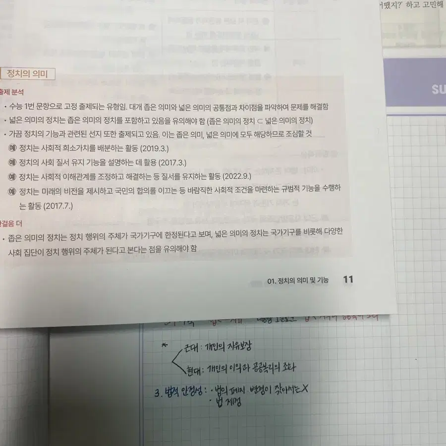 최여름 블자 blza 정치와 법 개념 대성마이맥 정법