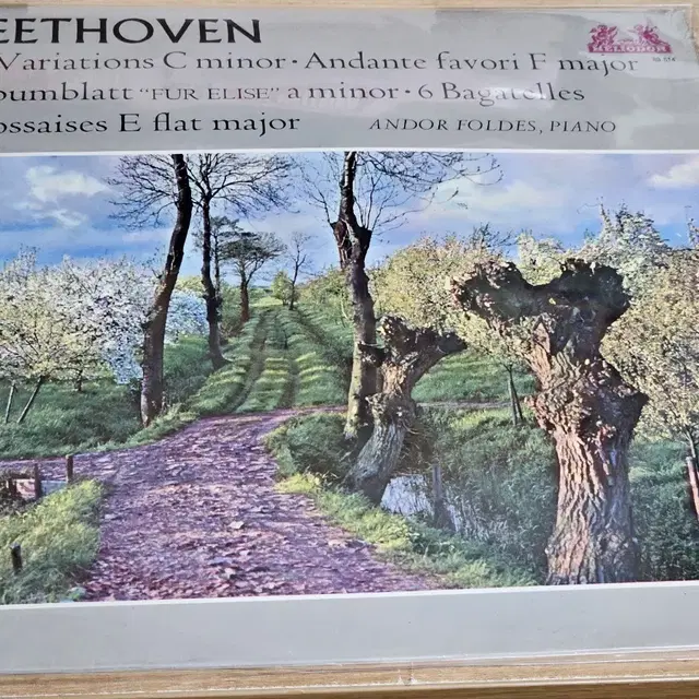 Beethoven: 32 Variations C minor. Andant