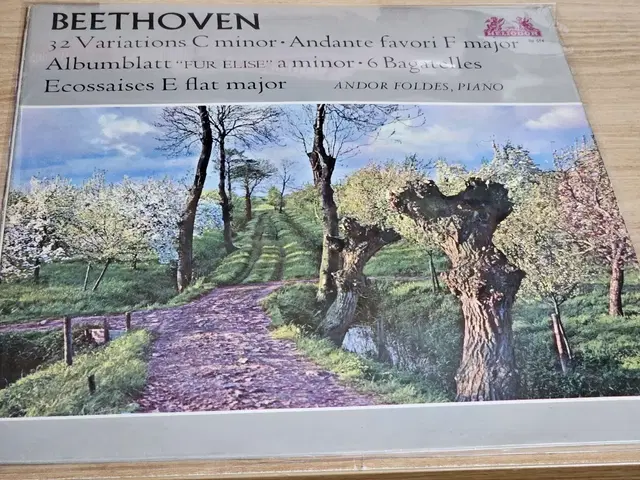 Beethoven: 32 Variations C minor. Andant