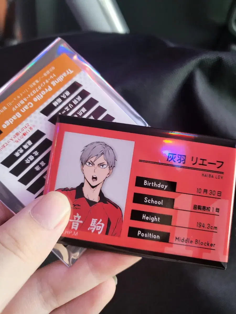 Haikyuu pop up sells training profile canvases