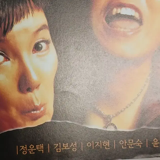 정운택 김보성 이지현 안문숙 보스상륙작전(2002년)전단지(2단)