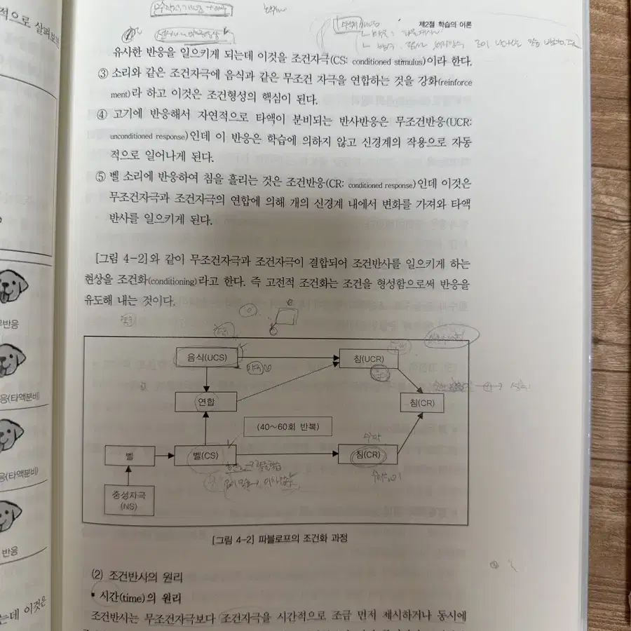 교육심리학 공감플러스