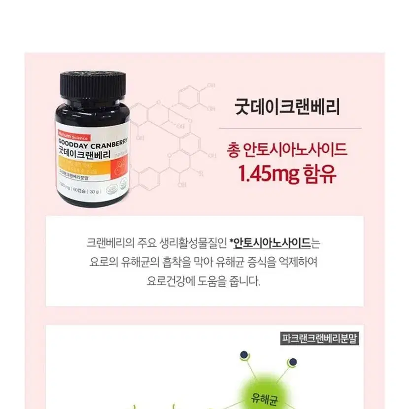 요로건강을 위한 건강기능식품 굿데이 크랜베리 500mg x 60캡슐