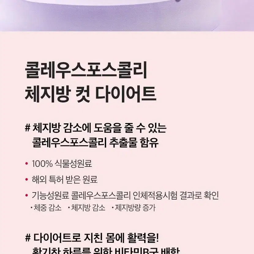 콜레우스포스콜리 빨간통 체지방 컷 다이어트 600mg x 60정