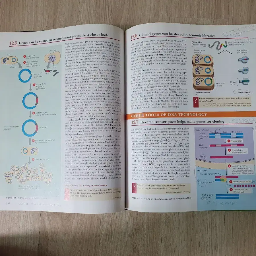 DK인체생리해부도, biology 교육용 공부용 의학용 도서 책