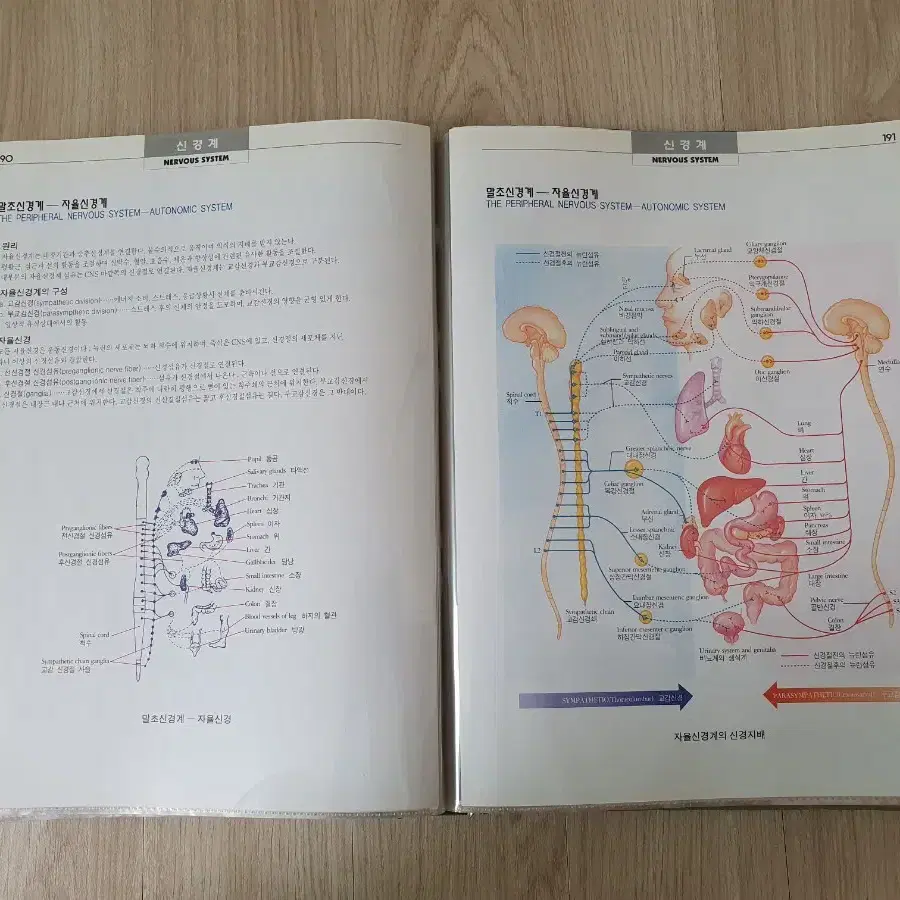 DK인체생리해부도, biology 교육용 공부용 의학용 도서 책