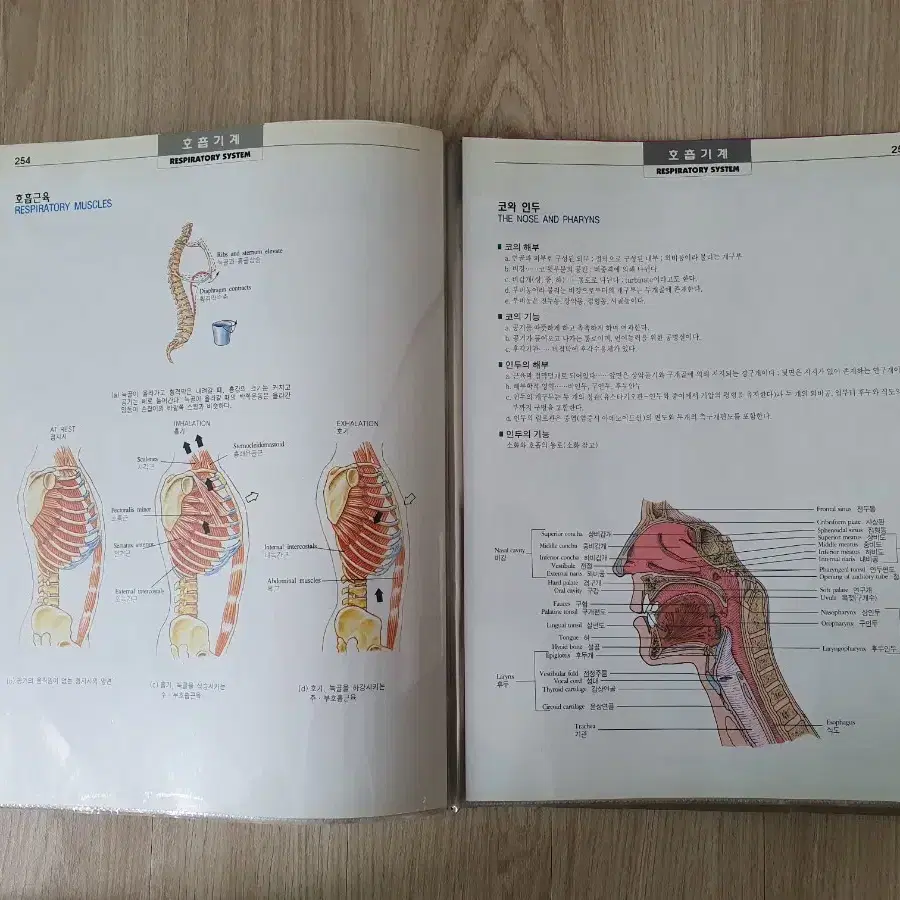 DK인체생리해부도, biology 교육용 공부용 의학용 도서 책