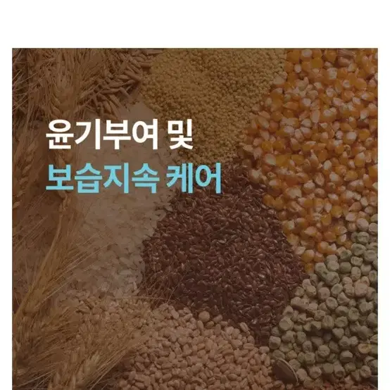 (새제품)바이아우어 밀크프로틴 폼클렌징 폼클렌저