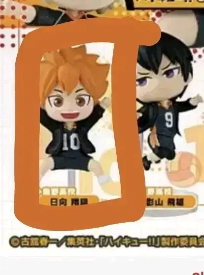 Haikyuu Jumping Ponkore hinata sells