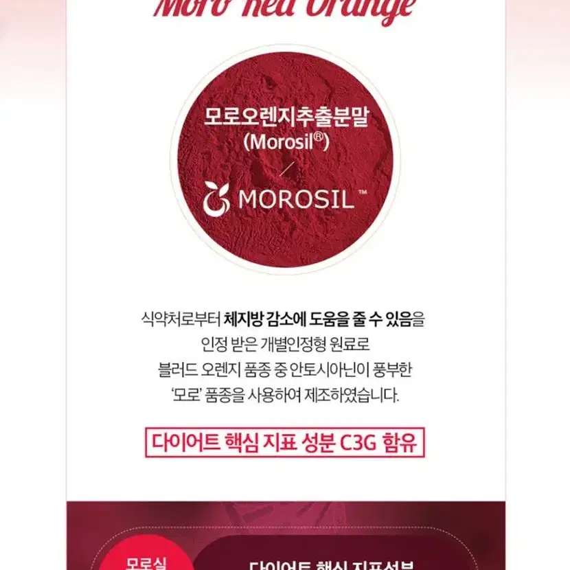 (1+1+1)유럽에서 유행중인 모로실 다이어트 700mg x 14정