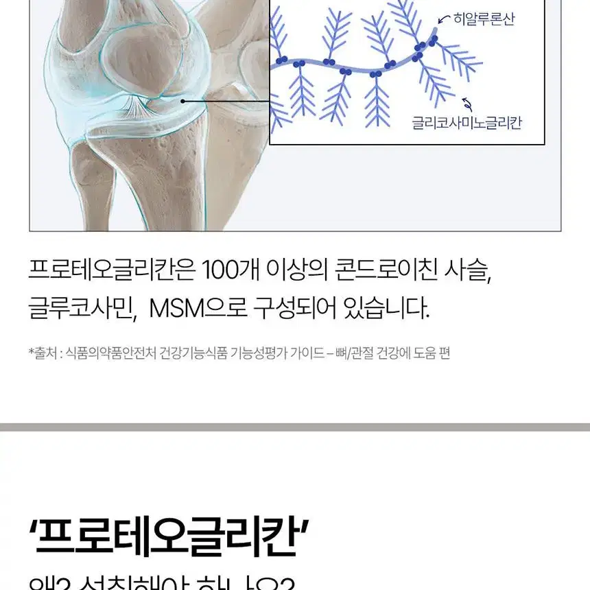 (1+1)관절 연골 건강을 위한 새로운 선택 프로테오글리칸 필름