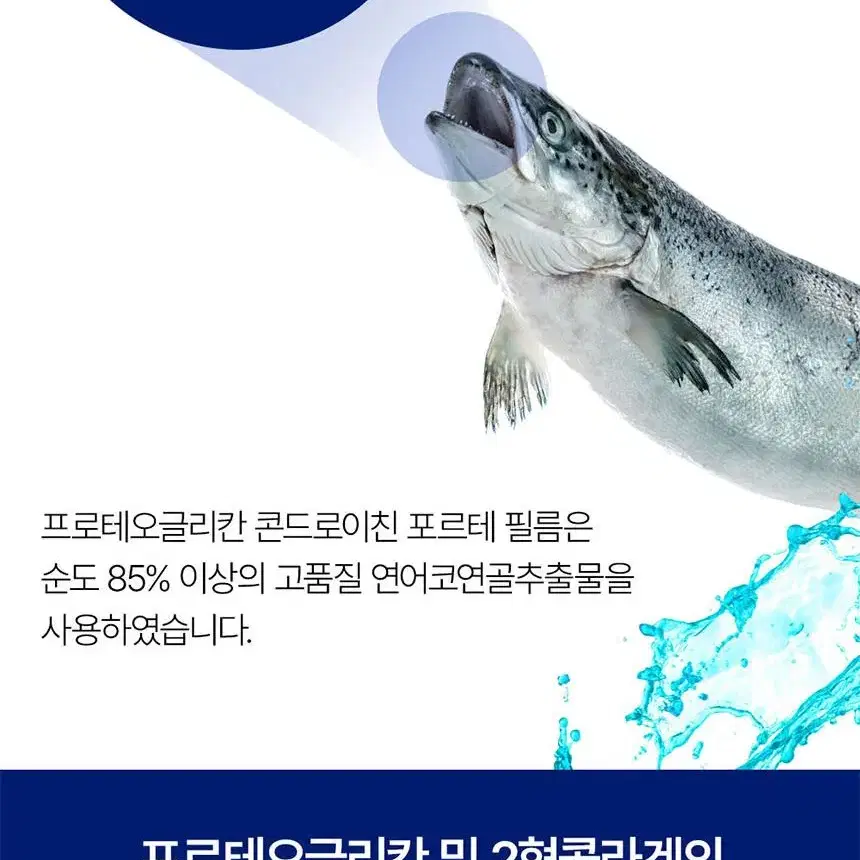 (1+1)관절 연골 건강을 위한 새로운 선택 프로테오글리칸 필름