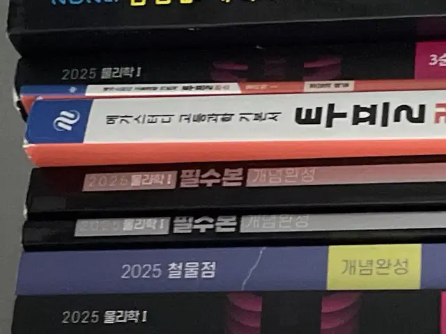 2025 배기범 필수본 물리