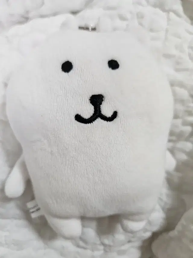 나가노 농담곰 릴패스