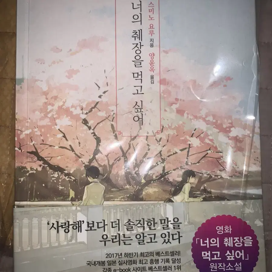 너의 췌장을 먹고 싶어 일본 소설