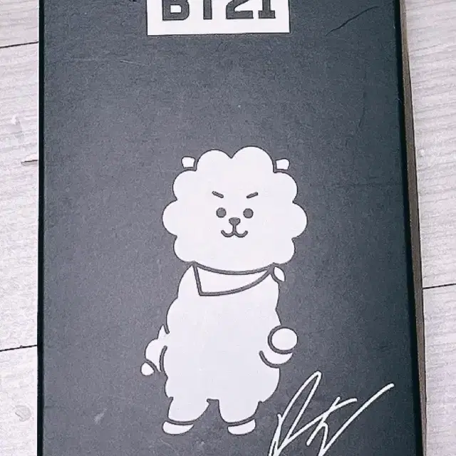 BT21 BTS 방탄소년단 진 알제이 RJ 텀블러