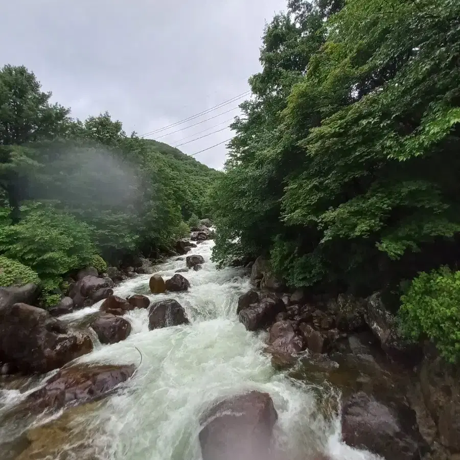 지리산 한달살기