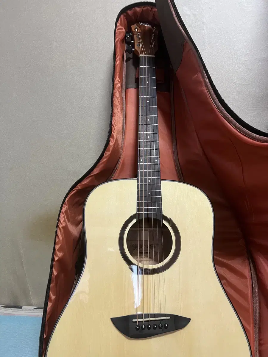 [Gofer Wood] Acoustic Guitar Gloss