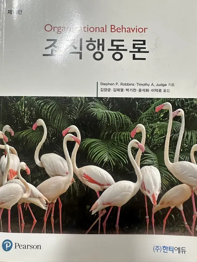 Pearson Stephen P. Robbins 조직행동론 교재