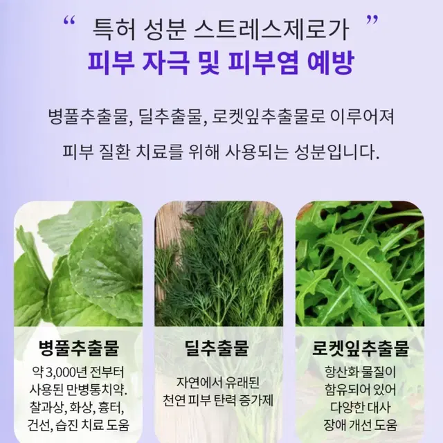 셀린스템 엑소플랜 리커버 인텐스 앰플 (줄기세포 앰플)