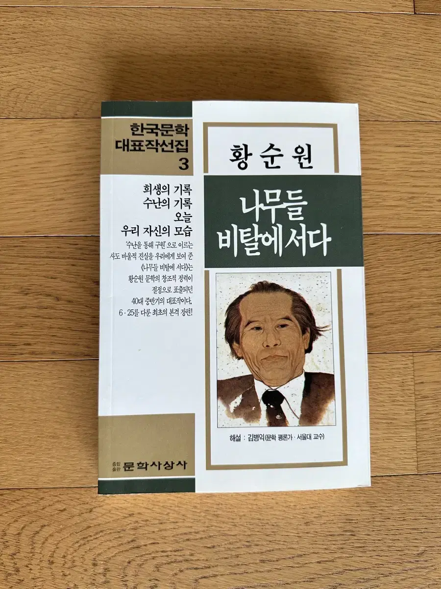 나무들 비탈에 서다 ,황순원 (지은이)