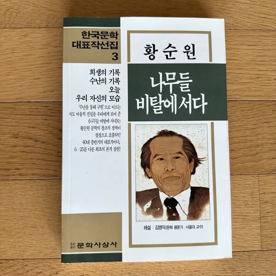 나무들 비탈에 서다 ,황순원 (지은이)