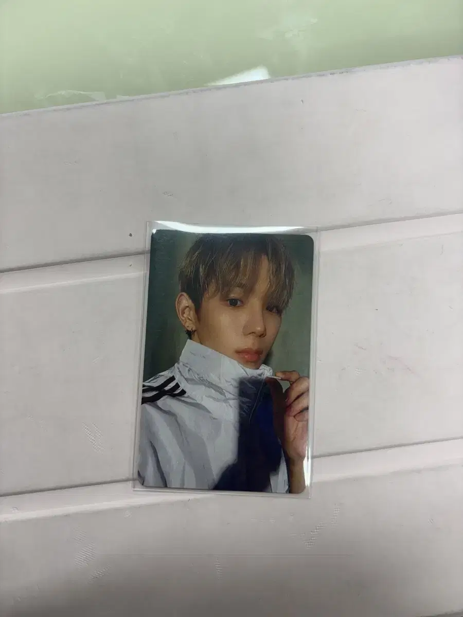 riize shotaro fanfly photocard wts