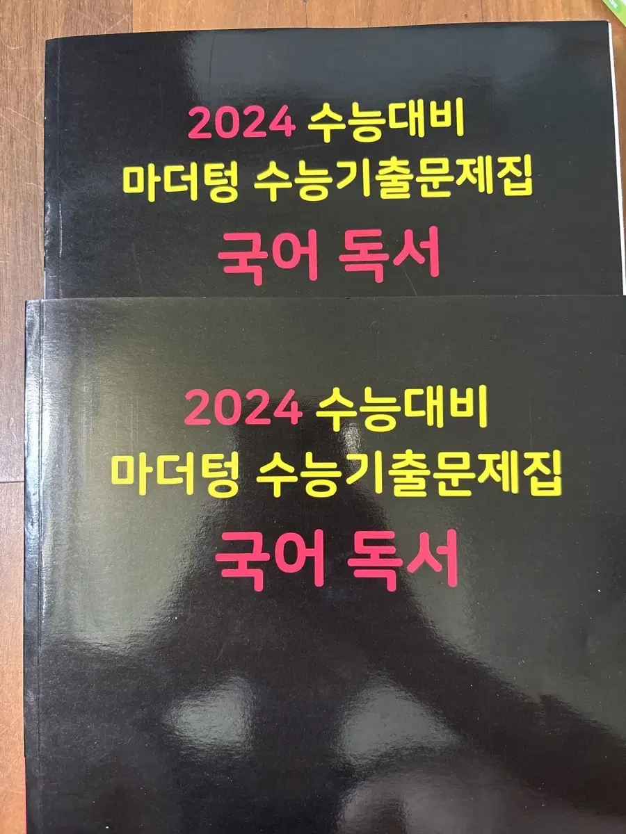 2024마더텅 국어 독서