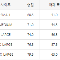 [해외] 베이프 에이프 X 러셀 애슬래틱 반팔 티셔츠 24SS