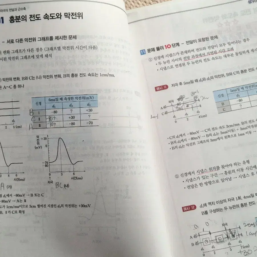 백호 2024 상크스 문제편 스킬편 미니스킬북