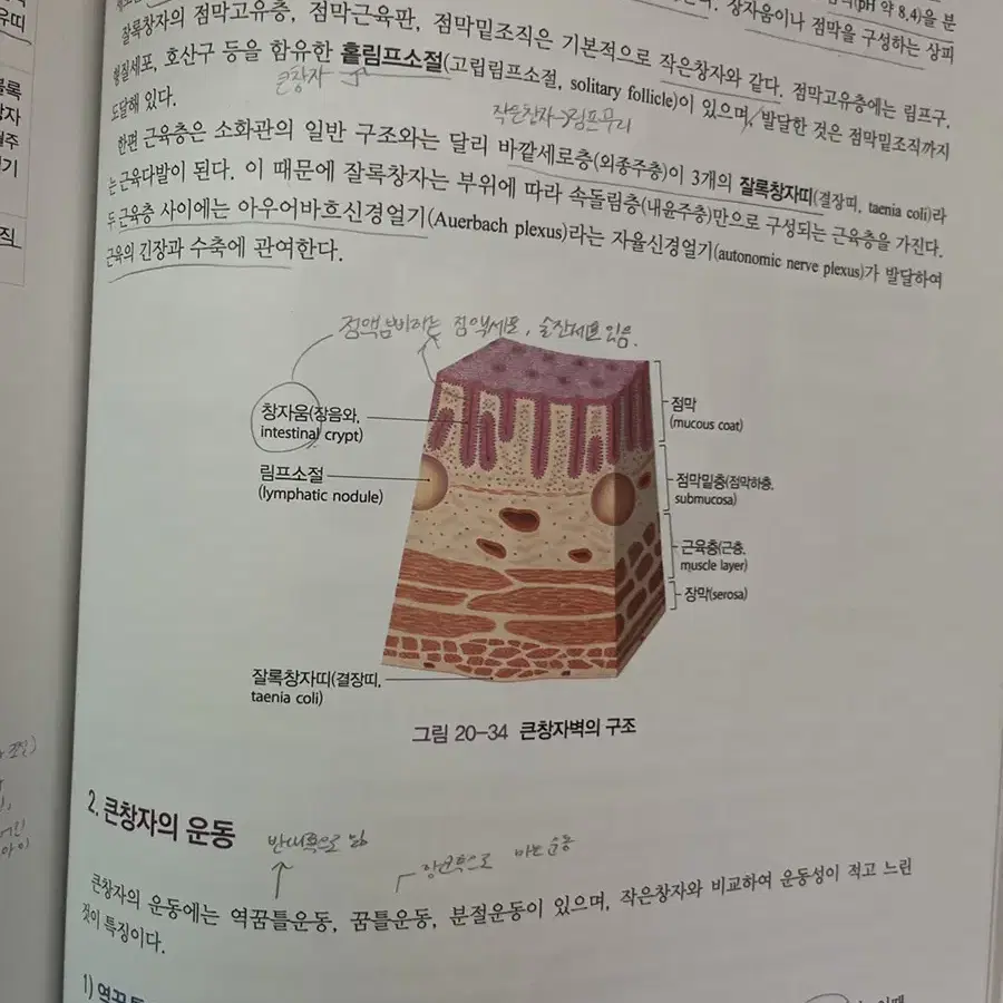 인체 구조와 기능 1, 2