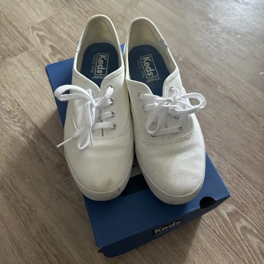 keds 케즈 단화