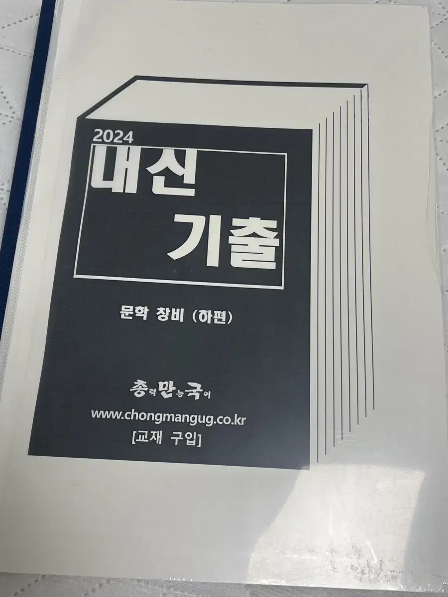 총력만능국어 문학 고2 새거 창비