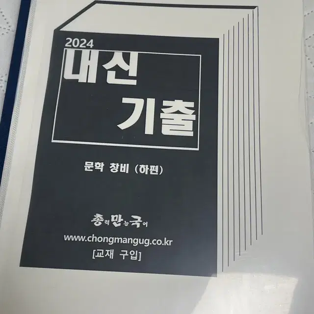 총력만능국어 문학 고2 새거 창비