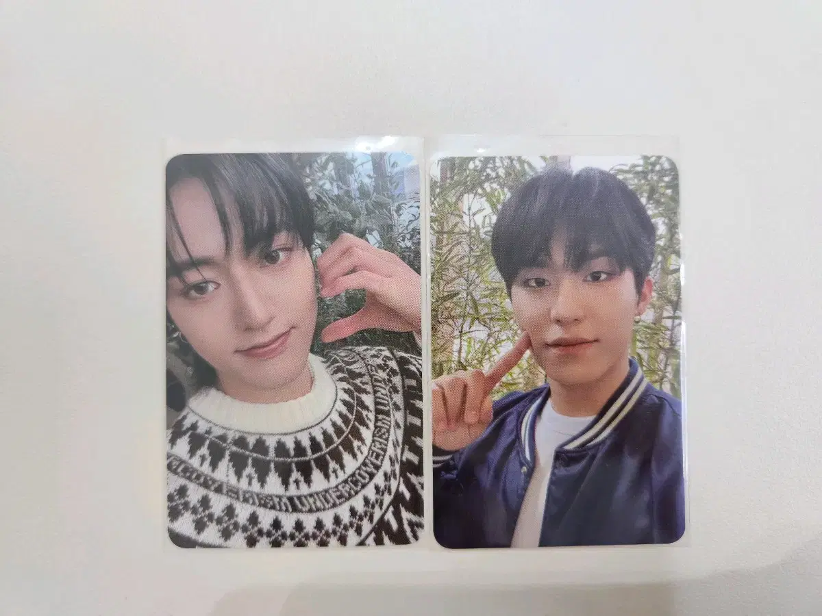 Bulk) Treasure Crocs park jeongwoo haruto Photocard