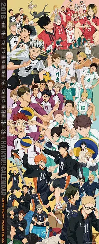 (Unsealed)Haikyuu 2018 poster Calendar 180cm