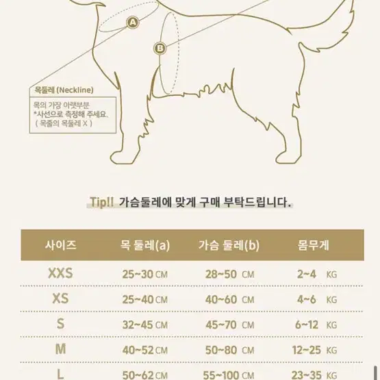 니즈더펫 인터라겐 강아지 하네스, 리드줄 판매합니다