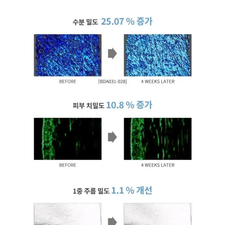 NR랩 앰플크림