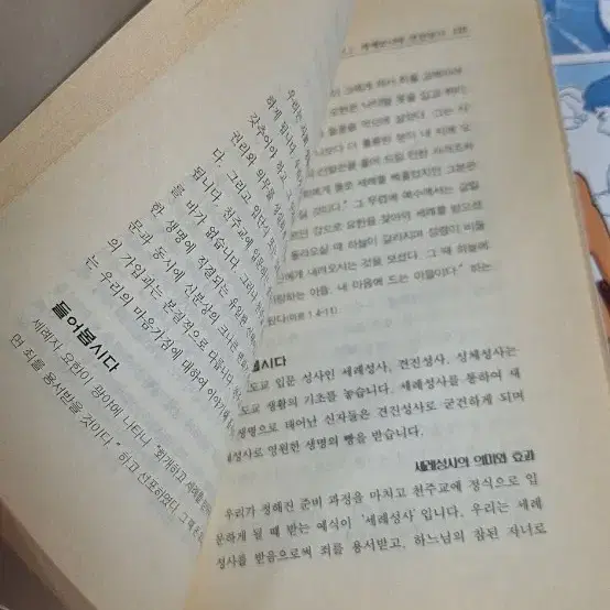 성경책 여러개.교리책