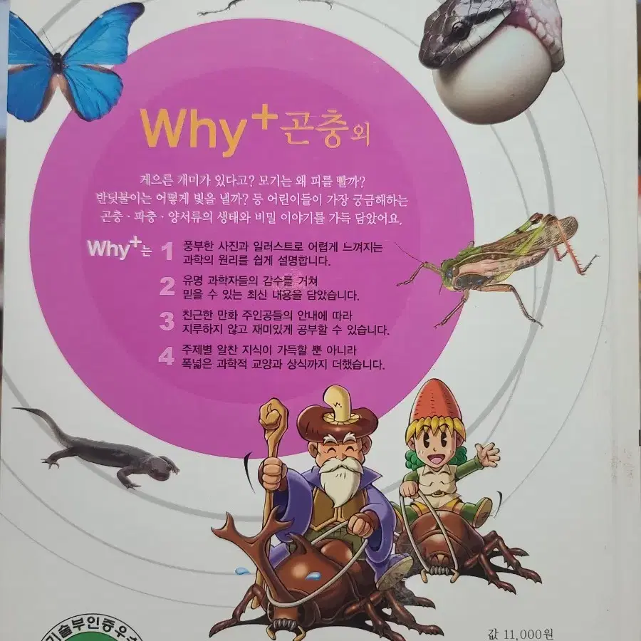 Why+  플러스 곤충외