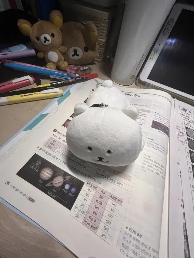 누운 농담곰