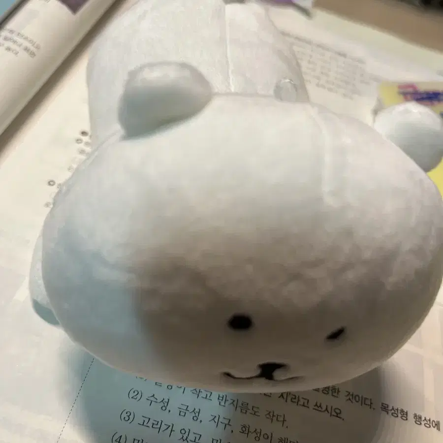 누운 농담곰