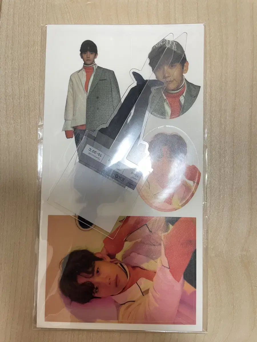 Exo baekhyun Terrorium kit sell wts Poker